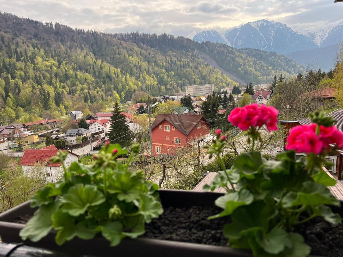 Casa Timeva Azuga Dış mekan fotoğraf
