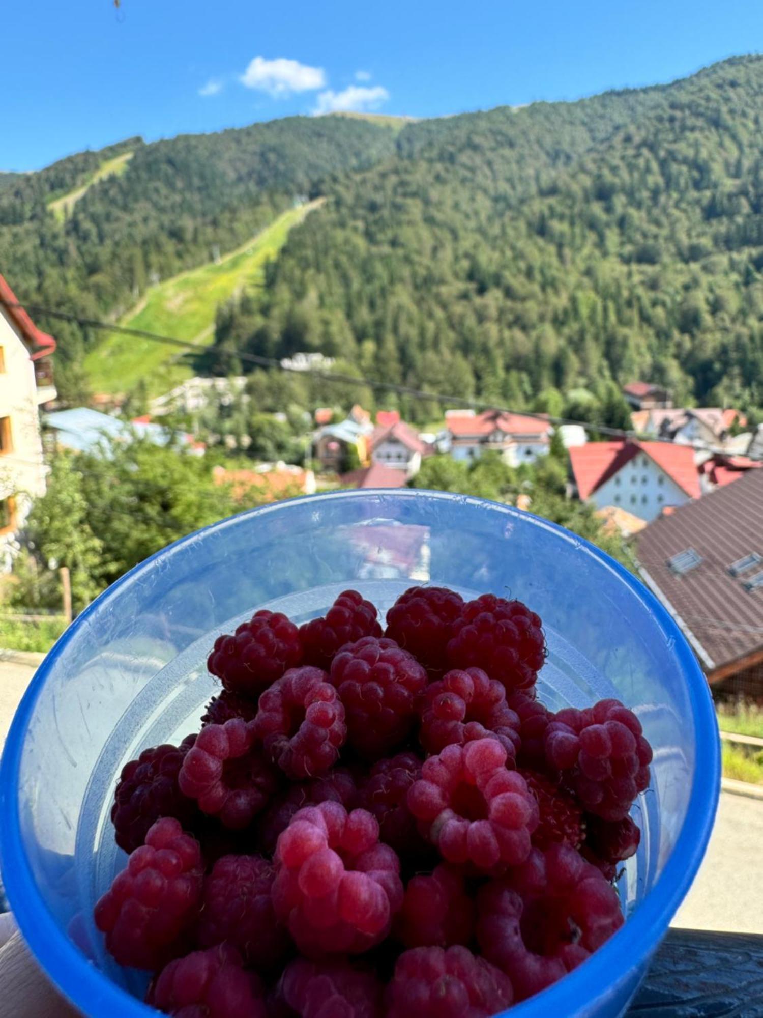 Casa Timeva Azuga Dış mekan fotoğraf